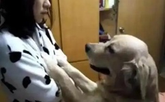 穿梭时空的侠客